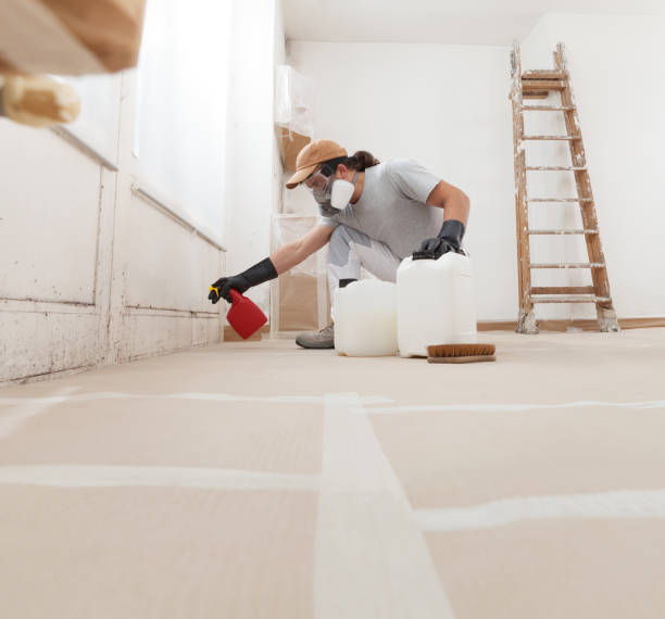 Trusted Murrells Inlet, SC Mold Removal Experts